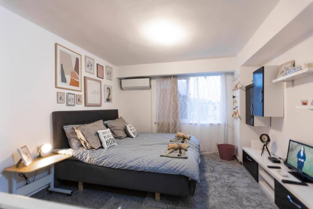11 Steps From The Center, Lovely Studio Appartamento Tirana