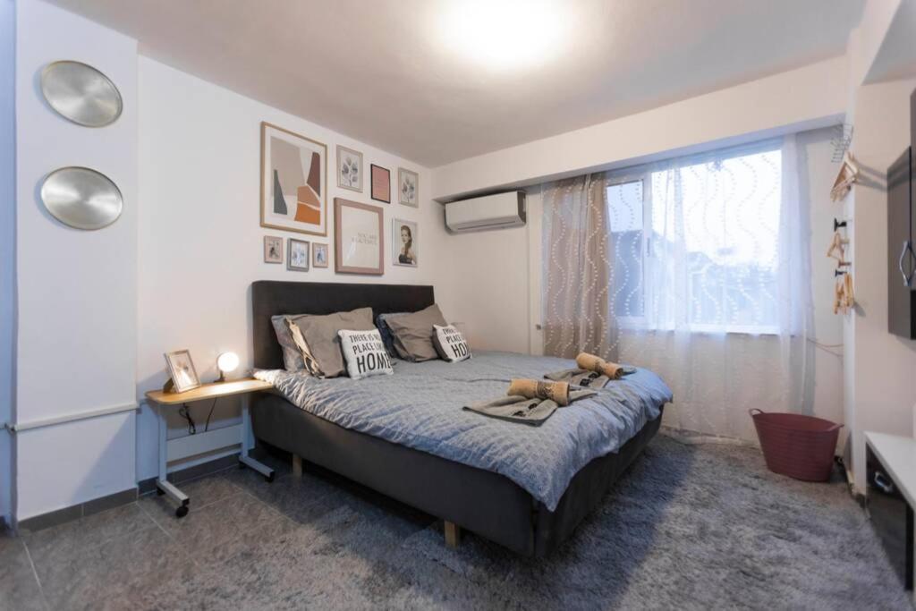 Appartamento 11 Steps From The Center, Lovely Studio *